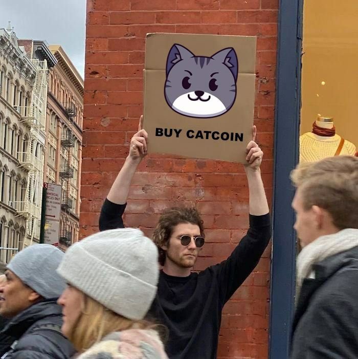 tylercrypto21's tweet photo. @Catcoinbsc #catcoinbsc to the meooown! https://t.co/O0XNBOClkt