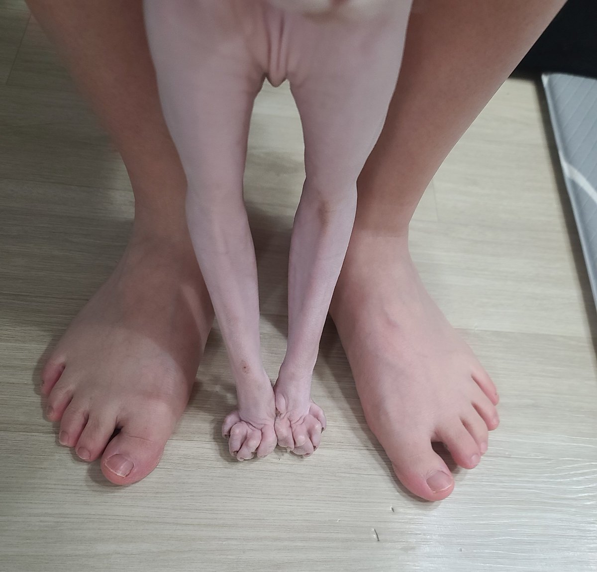 ch_100seolgi's tweet photo. 맨발도 깔맞춤으로 봐주시나요
ㅋㅋㅋ https://t.co/3wXWYTMkvY