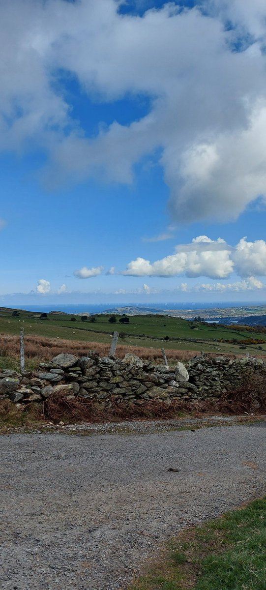 RammyExplorers tweet media