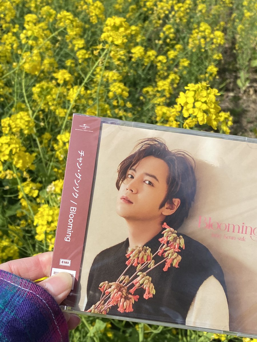 minterisyou's tweet photo. 応援ラスト日📀
みんなのツイ見て、私ももう一枚
あげちゃおうっと

花🌼とグンちゃん❤️

#時を駆けて 
#チャン・グンソク
#blooming https://t.co/BVh82DNcCX