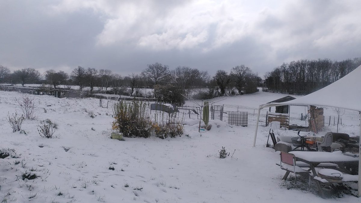 fleurdemerlin's tweet photo. Le #printemps  est bien capricieux cette année... L'air du Pôle nord nous est arrivé droit dessus... On était préparés, donc ça va, mais pour les #plantation s ce n'est vraiment pas idéal... #climate https://t.co/iswaEhRbho