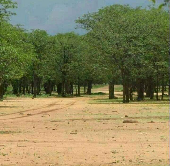 <a href="/drjaytee87/">skilled rebhara</a> Filabusi