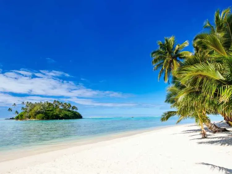 ✈️ COOK ISLANDS ✈️ 

Did you know the Cook Islands is listed on our 2022 places to go blog?

This picture is Beach Rarotonga on the Cook Islands. Beautiful isn't it?

Check out our blog for more beautiful places to go this year.
buff.ly/33rWqcm

#holiday #beachresort
