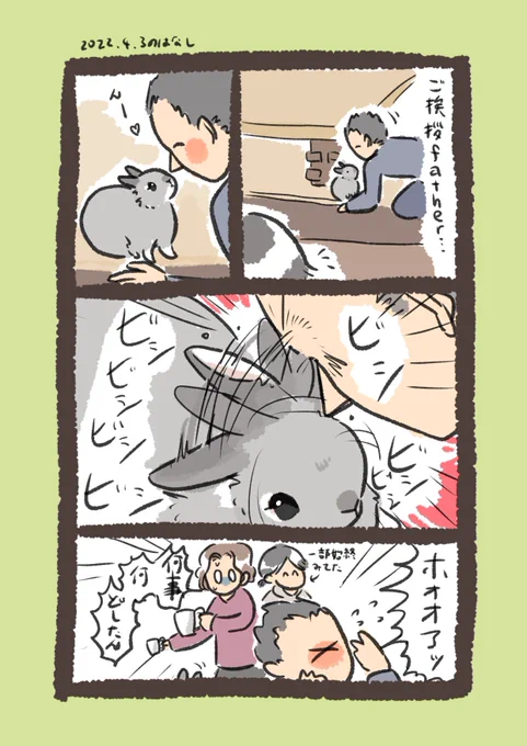 今日のrabbit…
#うさぎのいる生活 