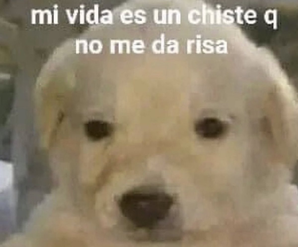 aXoZerr's tweet image. 