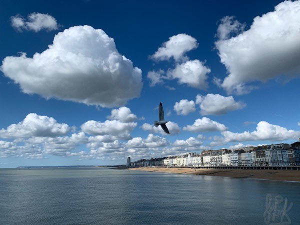 Snaps36920528's tweet photo. βHanging aroundβ
.
.
.
.
.
The first weekend the #hastings #pier is open. #seafront #stleanords #stleonardsonsea #eastsussex #seagull #clouds #cloudscape https://t.co/5dQKraJgG4