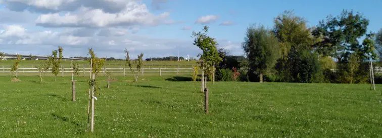 Woonachtig in Gelderland en plannen rondom #agroforestry? Vanaf 2 mei gaat de subsidieregeling ‘Aanleg agroforestry’ open.  Deze regeling ondersteunt boeren die de stap willen maken naar een meer duurzame landbouw met een goed verdienmodel. <a href="/provgelderland/">Provincie Gelderland</a> buff.ly/3DssWcv