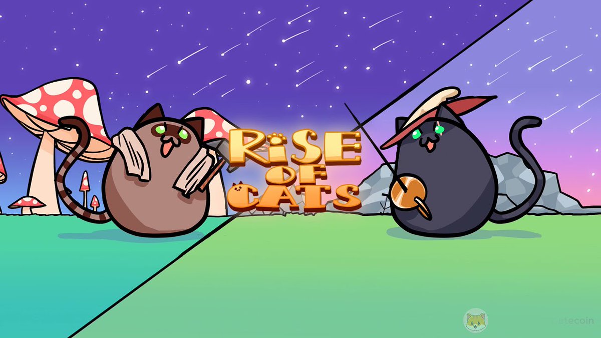 OscarRu83739471's tweet photo. @binance #RiseOfCats #catecoin #catepad https://t.co/EgQ67jbzbS