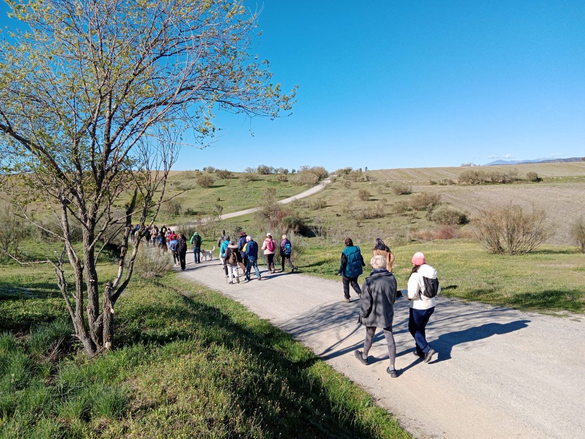 BosqueHabitado's tweet photo. .@radio3_rne Jornada histórica la de hoy, #DíaDeLasVíasPecuarias, en respuesta al llamamiento de  @PICPublicos, @fedme_es y @ecologistas Acción, 110 colectivos han realizado 56 marchas reivindicativas en defensa de las vías pecuarias y caminos públicos. https://t.co/AZIwpCZ9xl
