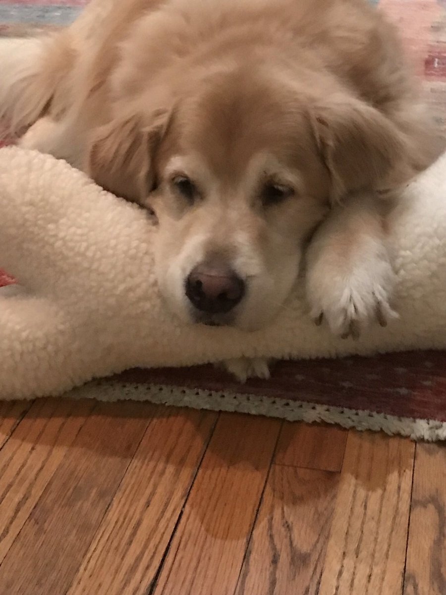 Marilyn Granzyk tweet media