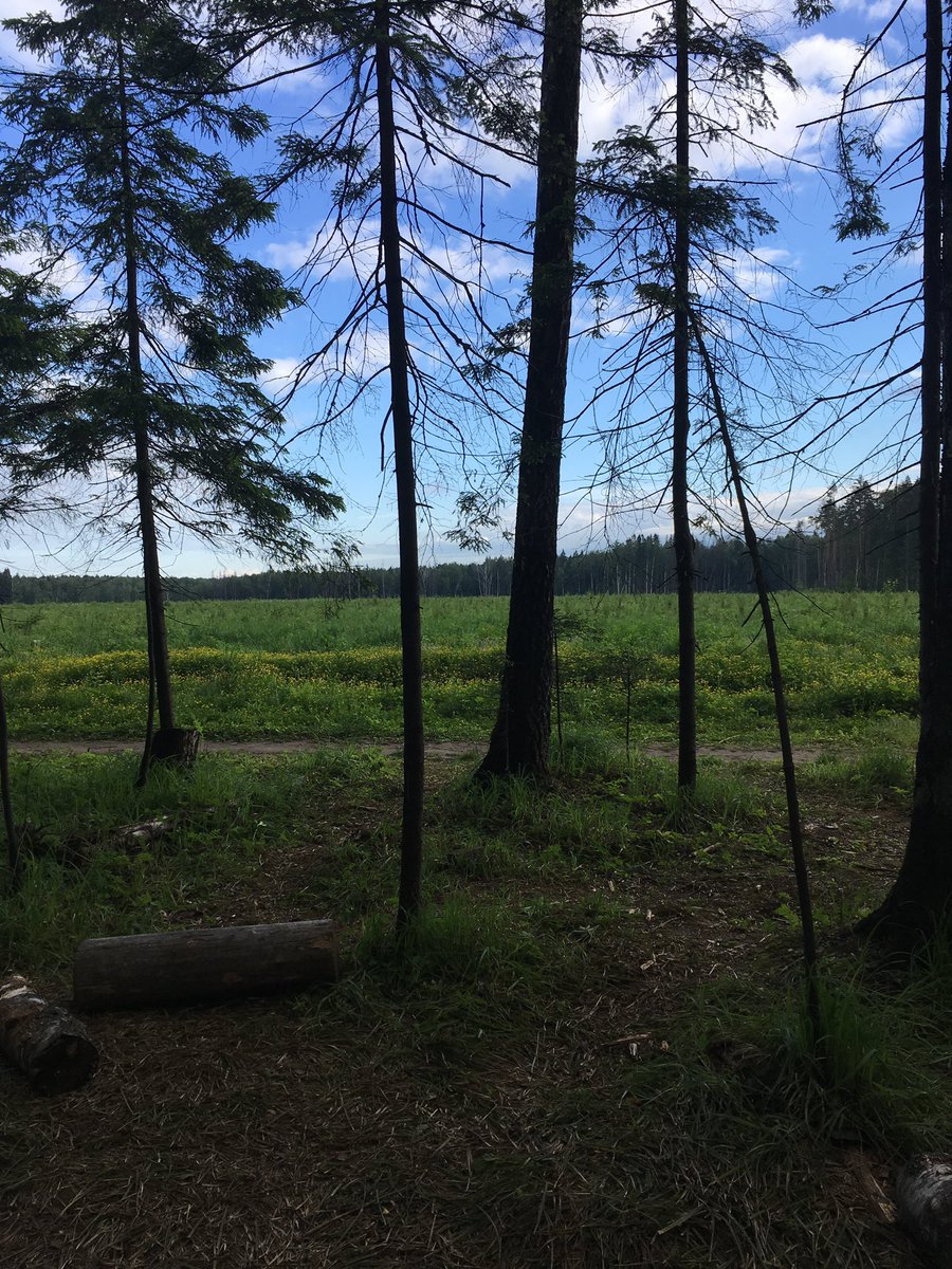 baban1si's tweet photo. 2."One early morning in the forest, I was drinking tea, I started to get cloudy, this happened more than once and I understood what was going to happen, I tried to close my eyes. An unbearably roaring sound began, I saw it again, somewhere in the distance, my tea fell out" https://t.co/ZOoPQl3rUo