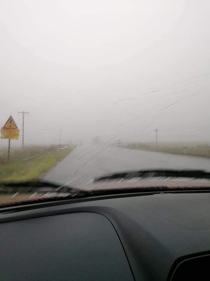 ReenvalSA's tweet photo. Baie reen vanaf #ThabaNchu tot in #Clocolan. Erge #hael storm en boom ontwortel wat in die pad le
📷Vollie Volschenk 
@SAWeatherServic @rsglandbou @ewnreporter @peoples_weather @VoxWeatherZa https://t.co/kG565g1rro