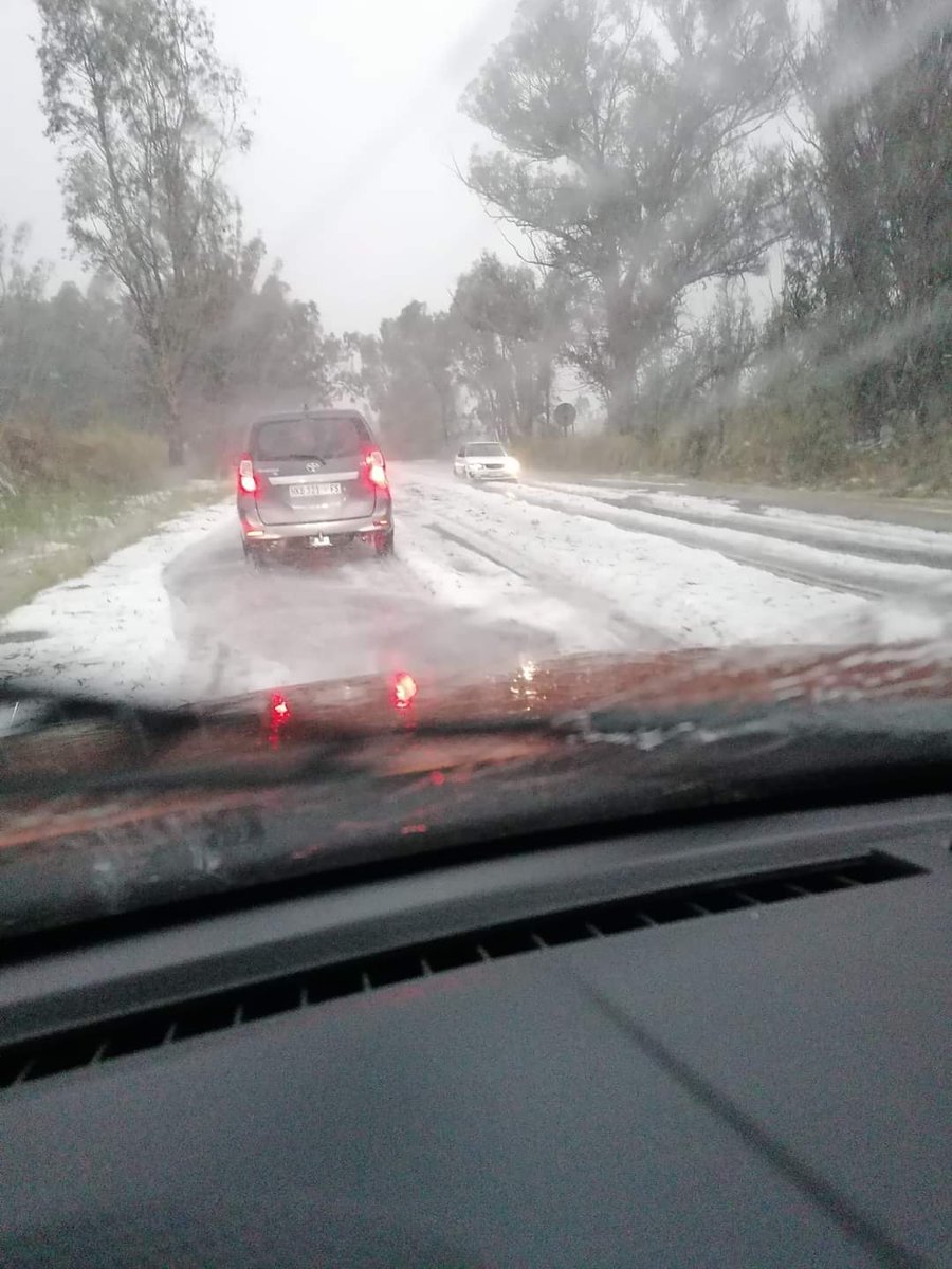 ReenvalSA's tweet photo. Baie reen vanaf #ThabaNchu tot in #Clocolan. Erge #hael storm en boom ontwortel wat in die pad le
📷Vollie Volschenk 
@SAWeatherServic @rsglandbou @ewnreporter @peoples_weather @VoxWeatherZa https://t.co/kG565g1rro