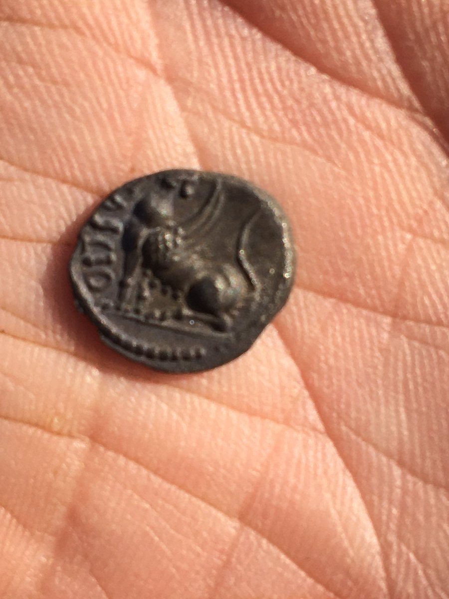 Today’s little beauty 👍🏻