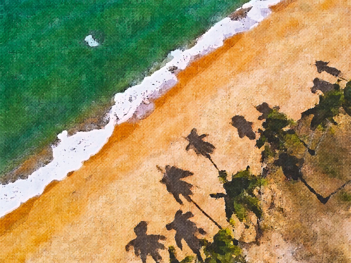 ZERO NOИO tweet media