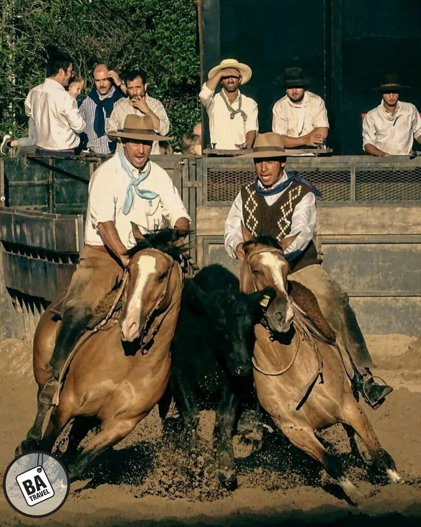 Simetría en la Rural 🐴 🐴 

Recomendamos seguir la galería de:
Fotografo | <a href="/rubenslombardo/">ruben d lombardozzi</a> 
Barrio: Palermo 
▫
▫
Selección | <a href="/archiecoria/">Christian ⚡️ 𝘼𝙧𝙘𝙝𝙞𝙚</a>
Usa nuestra etiqueta
#BuenosAiresTravel
Seguinos @BuenosAiresTravel 🇦🇷
#BuenosAires
▫
▫
▫

Visita nuestras hu… instagr.am/p/Cb5WEE6rbC7/