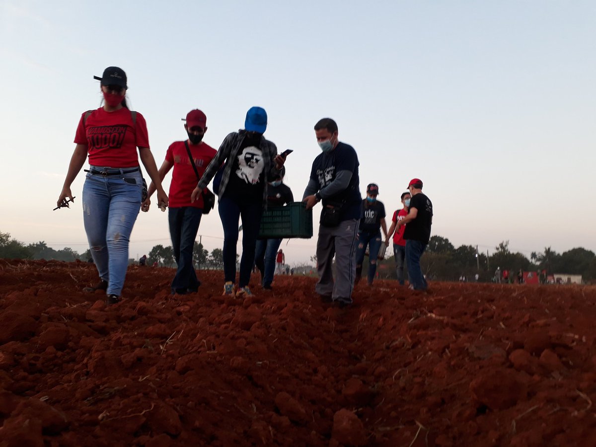 AylinAlvarezG's tweet image. Como sus muchachos y en el surco estuvo el Presidente @DiazCanelB temprano este domingo. Gracias por acompañarnos siempre y por considerarnos como las más importantes personas que somos. #VamosConTodo con todo con usted a seguir defendiendo a #CubaVive. @DrRobertoMOjeda