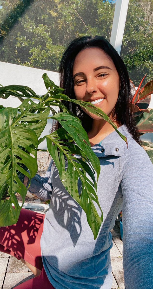 OrchidGroves's tweet photo. Starting over with Monstera adansonii because I killed my last one 🌿💃🏼 #Monstera #Monsteraadansonii #NotAnOrchid #SelfieSunday #OrchidGroves https://t.co/4WGZqRi1LB