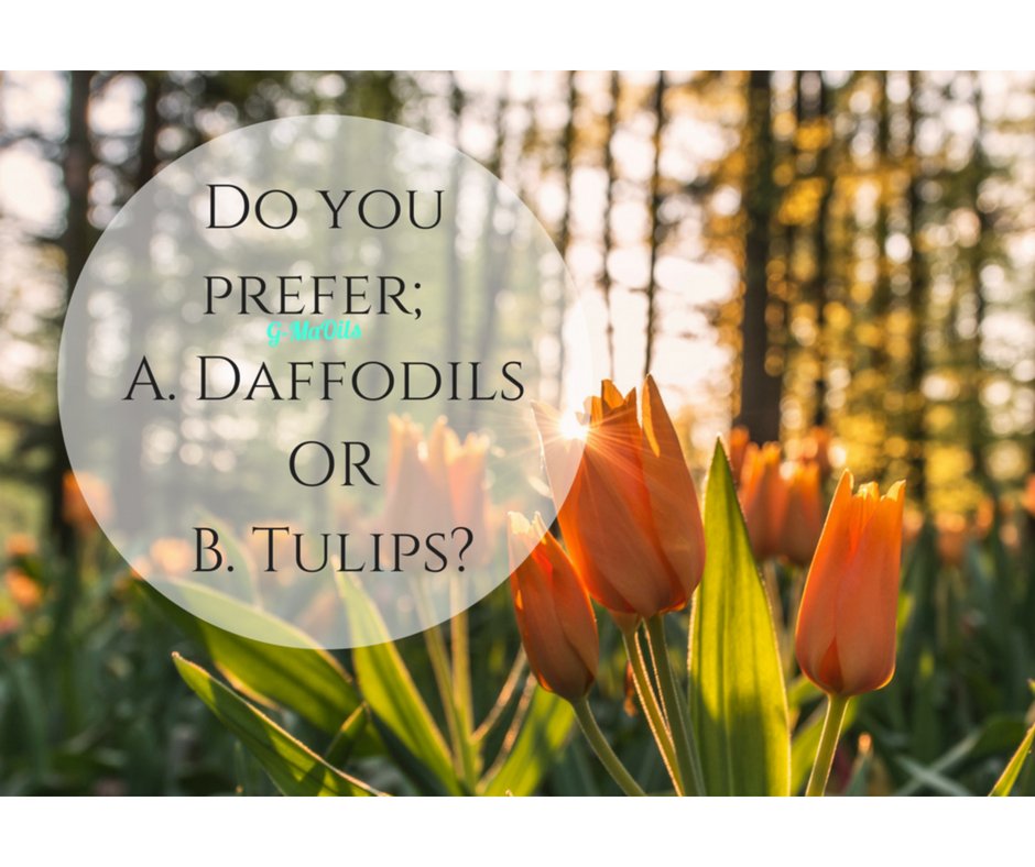 Topaz48's tweet photo. Do you prefer A or B? https://t.co/Gk8Tt7Bqqt