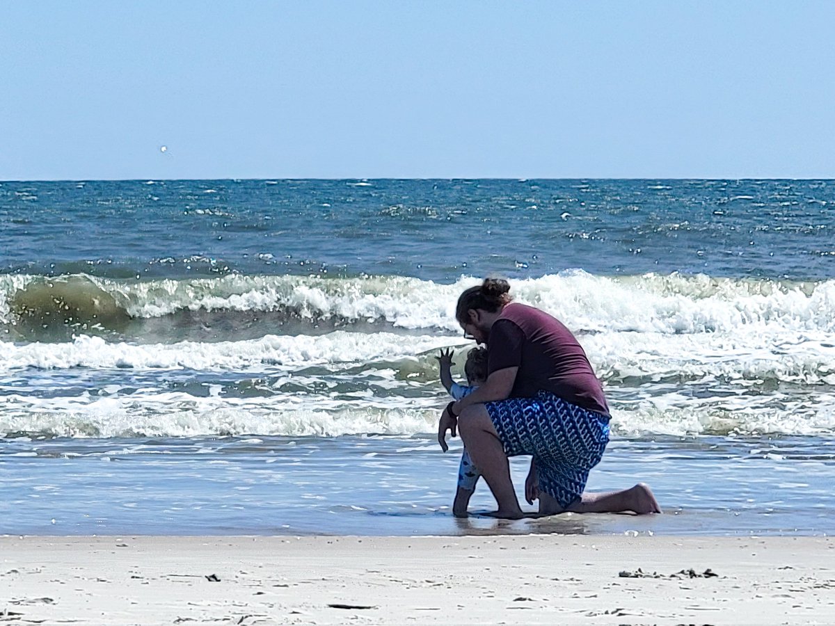 Ellen Weatherford 🐊 tweet media