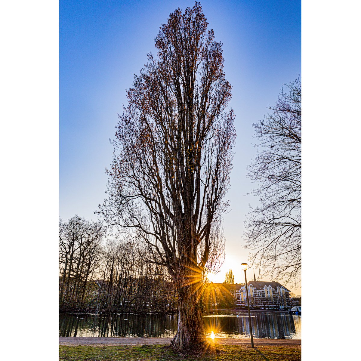 KyonyxPhoto's tweet photo. Série "Street Life In Dijon" Un double allongé
Finir la journée en admirant la beauté, d'un double soleil qui va se coucher en dessinant les traits d'un géant allongé.
#coucherdesoleil #sunset #dijon #dijonmaville #lacotedorjadore #enbourgognefranchecomte #SortezChezVous https://t.co/SrhzYeMDnA