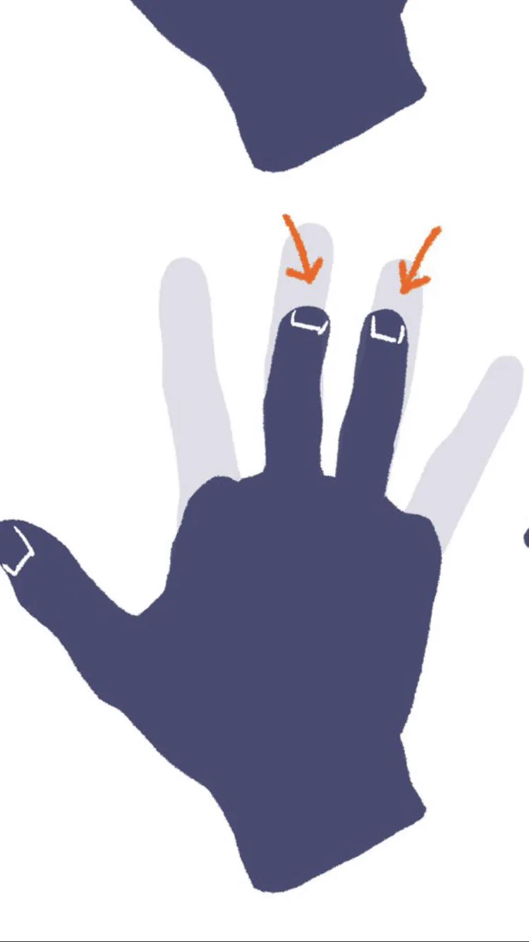 @kato_anatomy こいつくそむずいんだが 