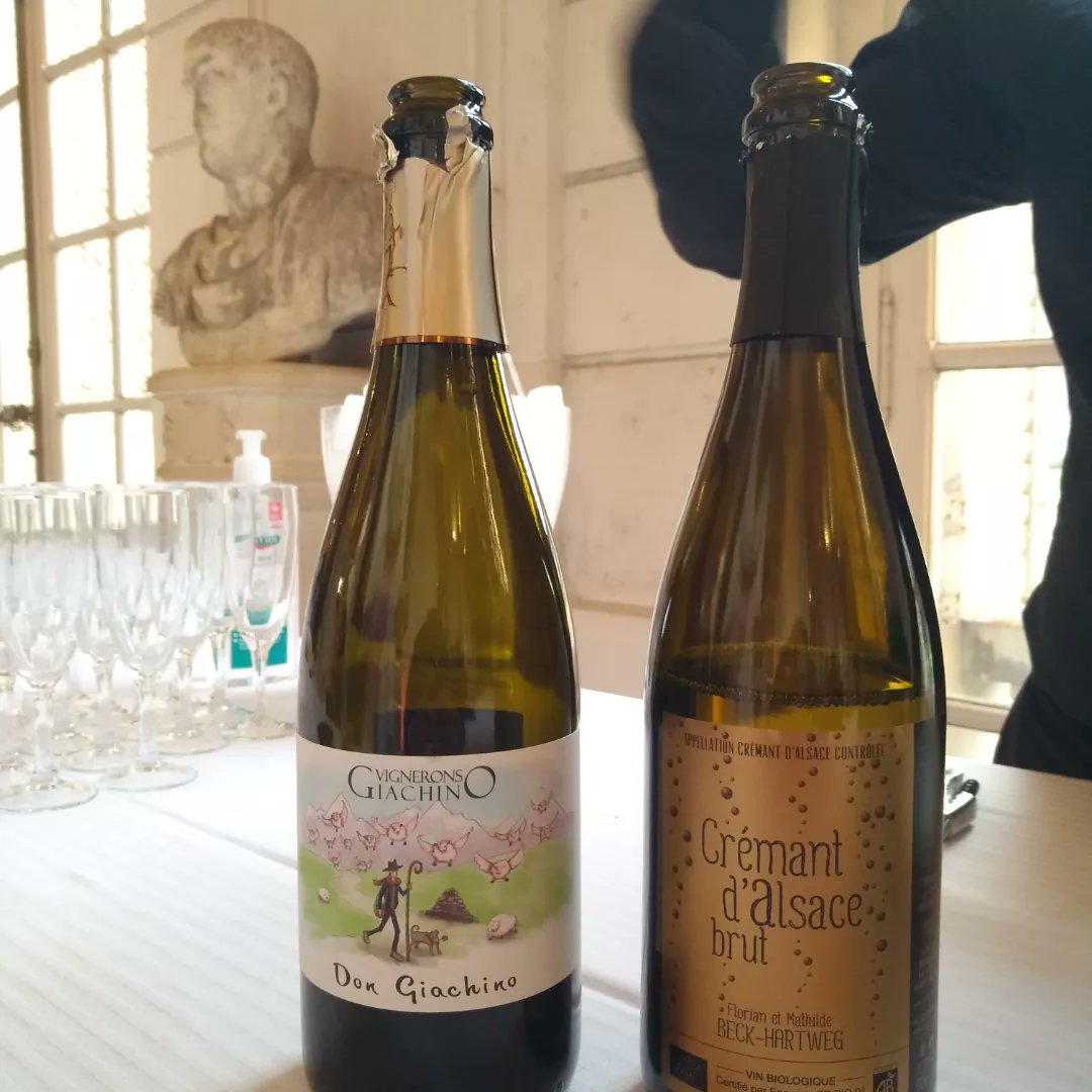GirodPierre1's tweet photo. Mariage de 200 personnes au château de Baronville avec les vins sélectionnés par Nature de Vin ! Un petit bonheur...   #naturedevin.com Merci Shabnam et Mathieu !
#domainelecomtedesfloris #domainegiachino #domainesenat #domainedesgandines #domainerenardatfache #domainepabiot https://t.co/BrsbEVFk9y