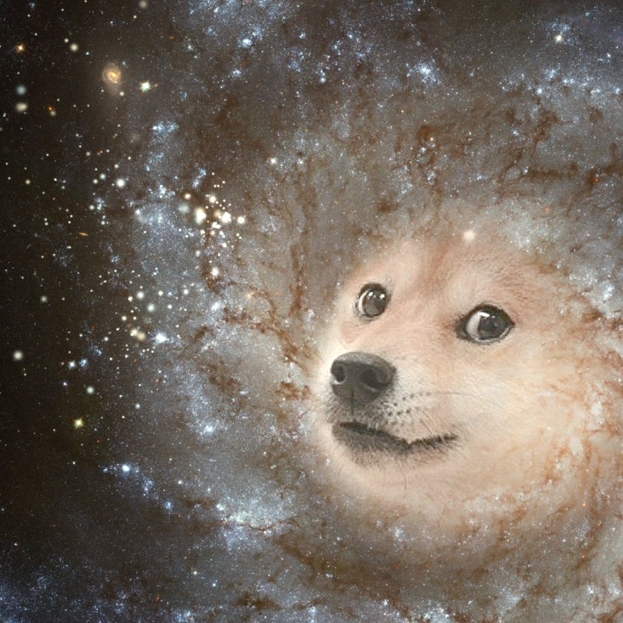itsALLrisky's tweet photo. Fate, it seems, is not without a sense of irony #Dogecoin https://t.co/TwbcEsT160