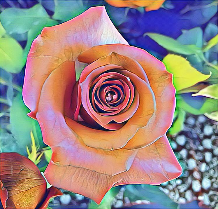 Skywalker tweet media