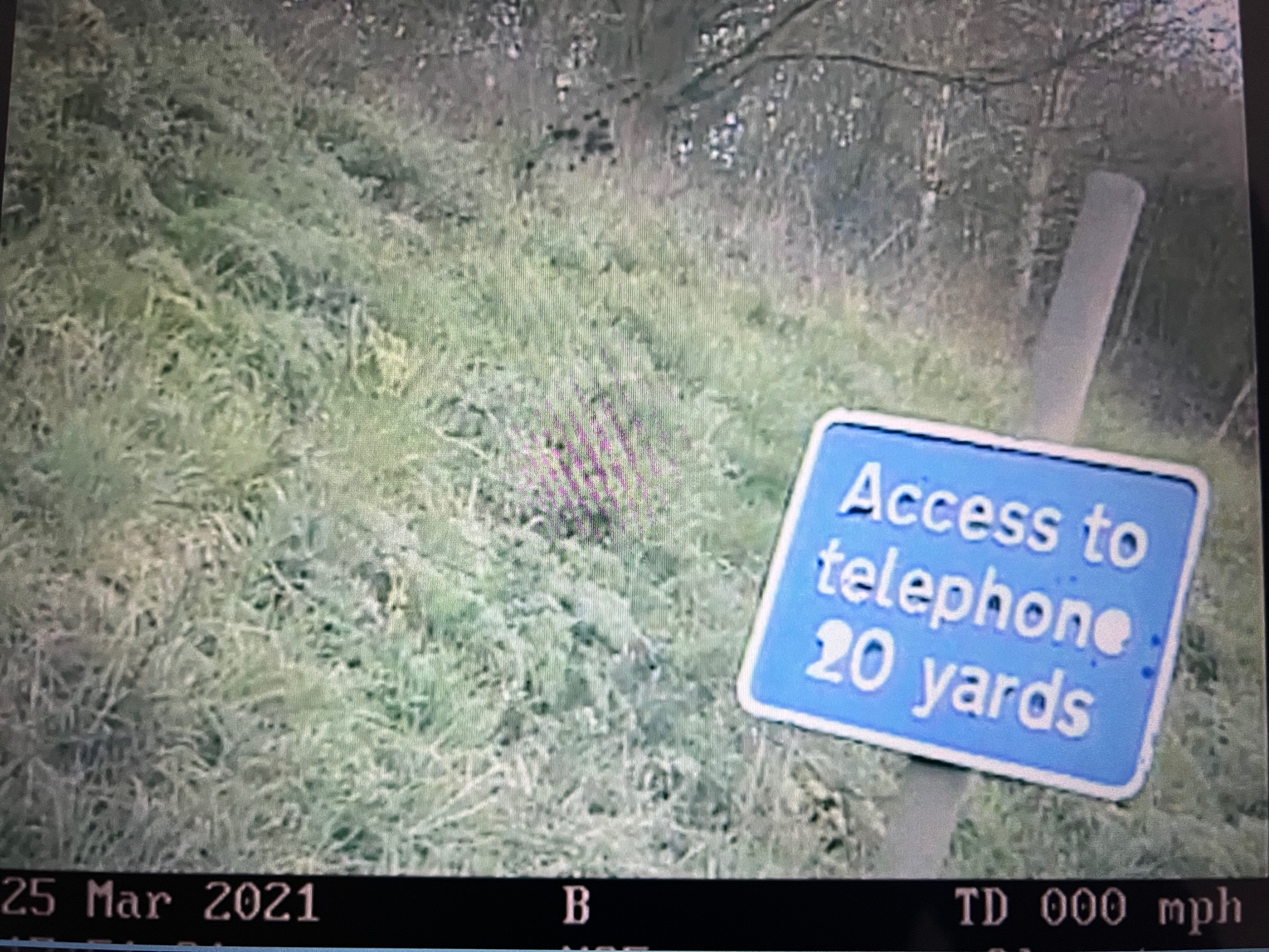 FPb6nBzXwAYSRPu.jpg:large