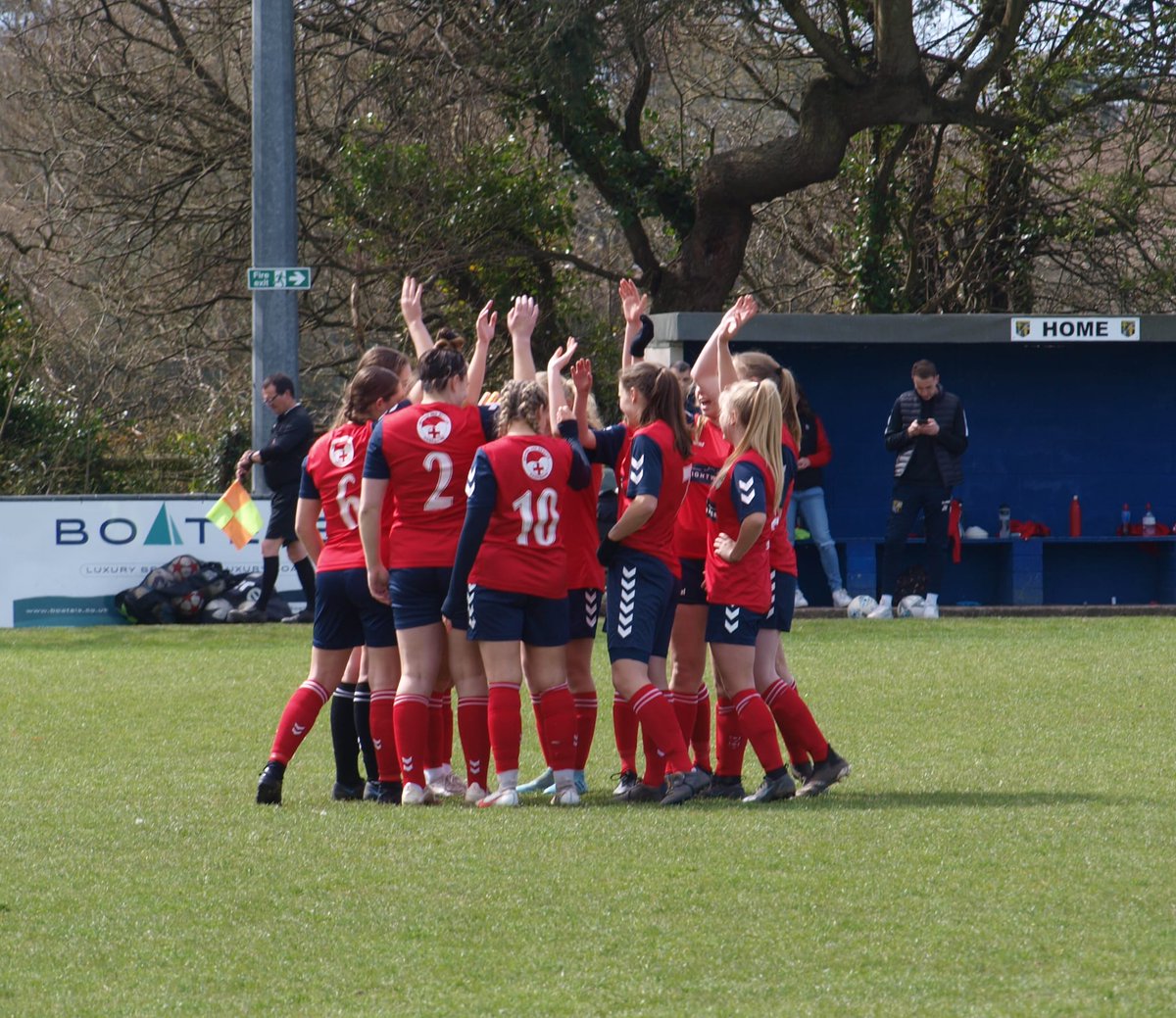 New Milton Town Women FC tweet media
