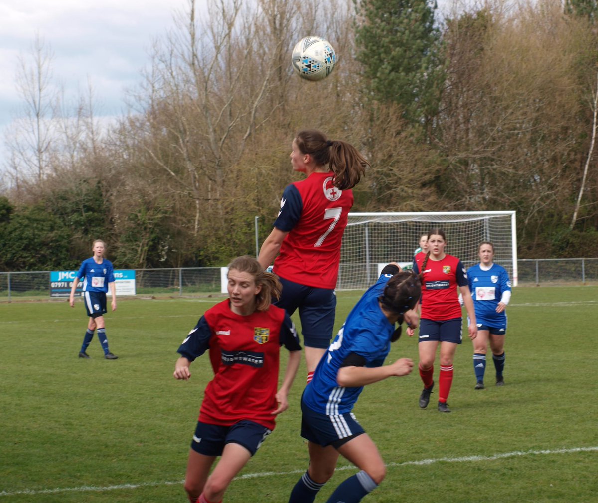 New Milton Town Women FC tweet media