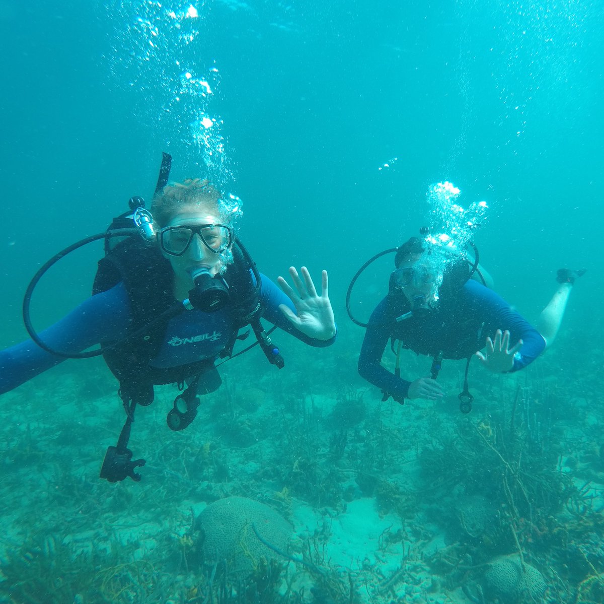 GSNorthernIL's tweet photo. Feeling adventurous? Same here! See where Girl Scout Destinations can take you. โจ Check out all the amazing Destinations available! โ๏ธ #GSDestinations #GirlScoutDestinations https://t.co/DTS68fVpqX https://t.co/uvx4HWtii8