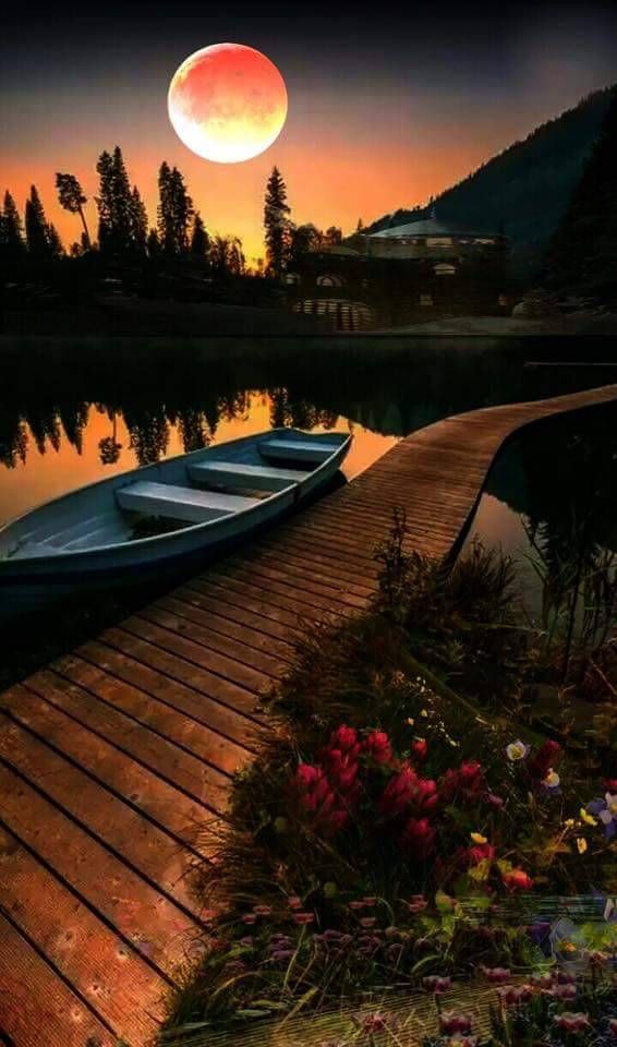 🌔🌺💫  evening