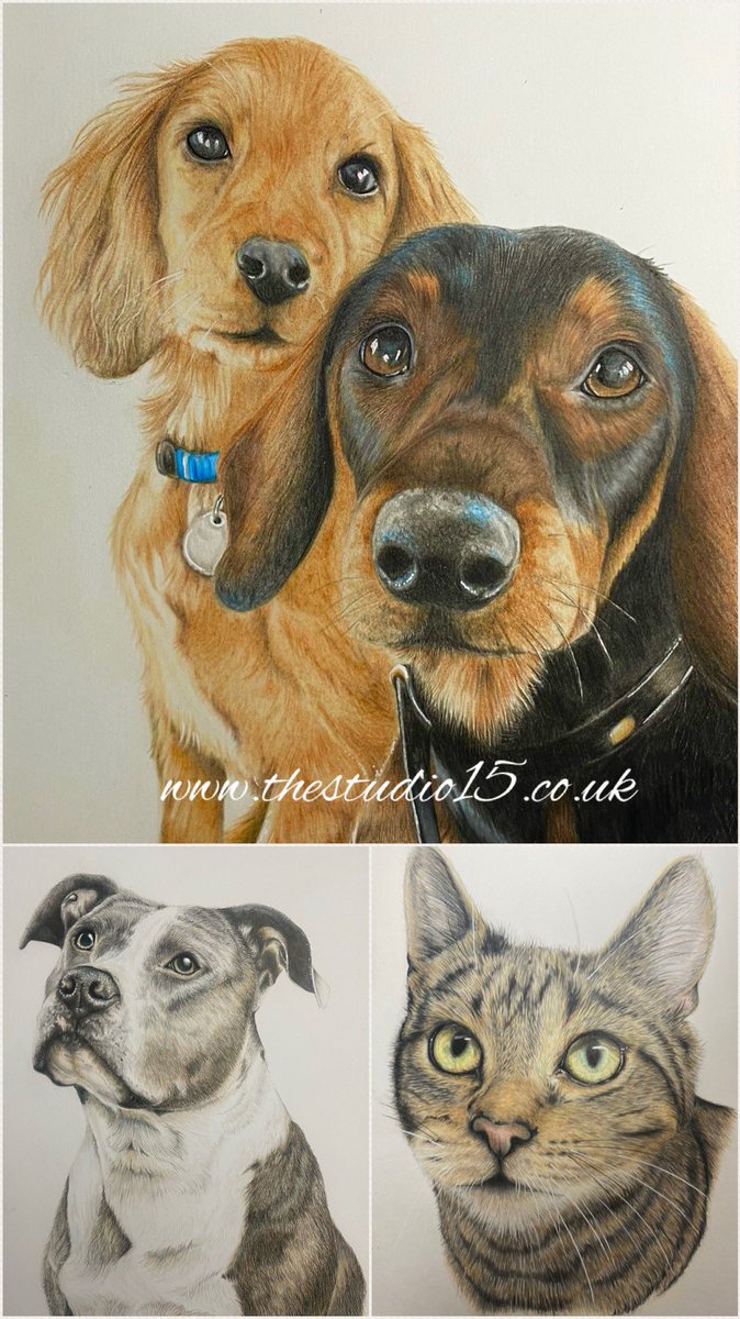 studio_1505's tweet photo. @TheoPaphitis  I am a pet portrait artist &amp; have a passion for creating adorable portraits of clients treasured pets. With the help of #SBS community I would like to expand to more personalised gifts https://t.co/bAqLmjv32l https://t.co/nDesVBYNcm