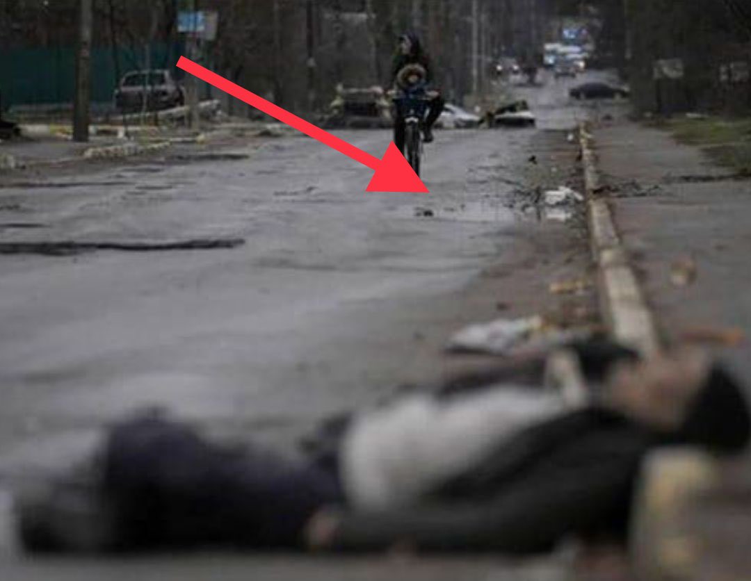 The Walking Dead, Buchi.