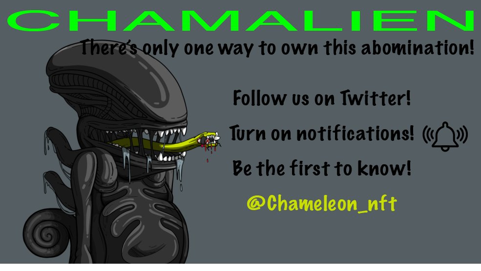 The Collective tweet media