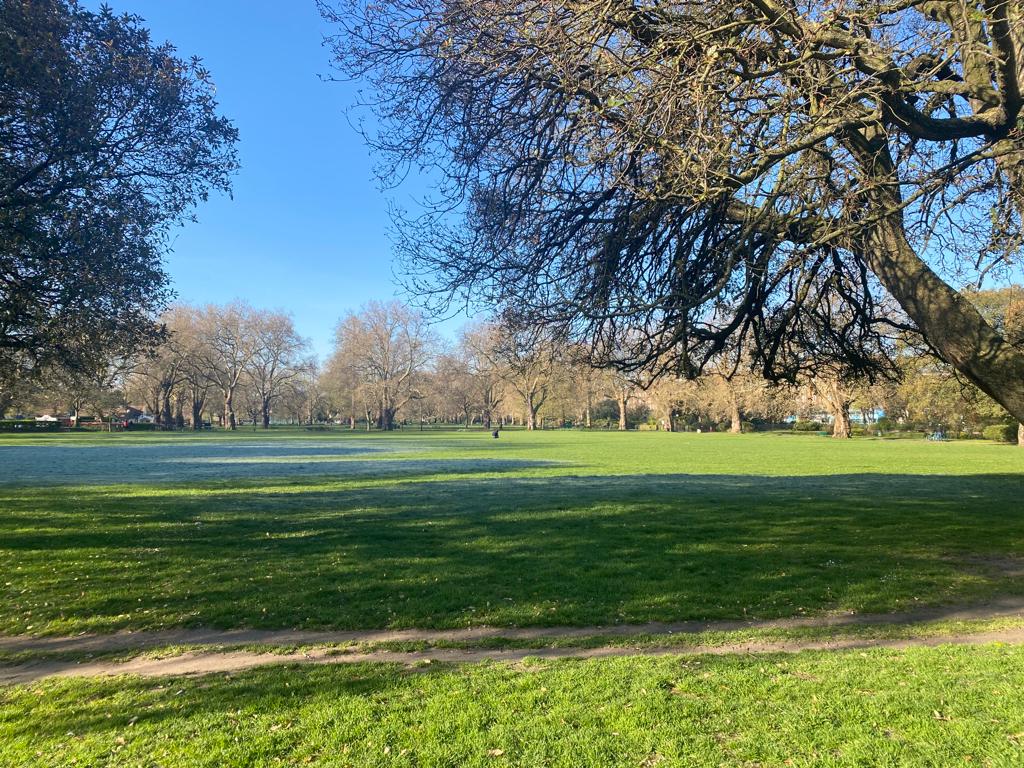 The perfect parkrun morning. Thanks to everyone who ran, jogged, walked and volunteered this morning. Same time next week? 🥰 #loveparkrun