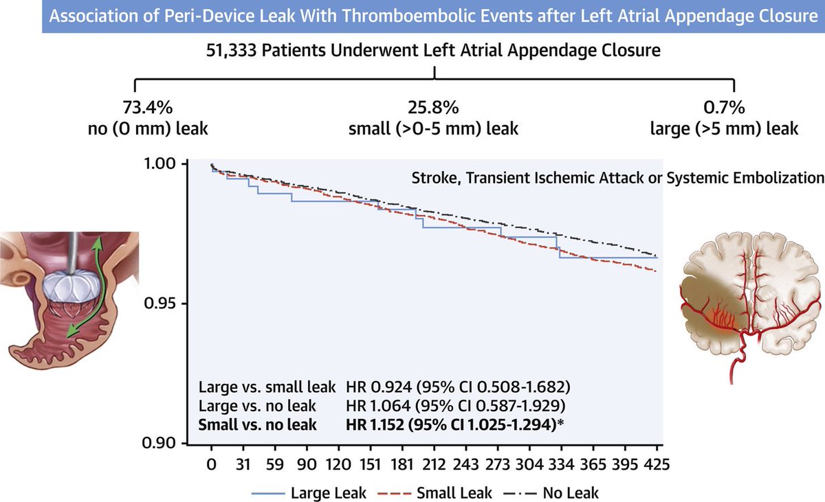 Small Peri-Device Leak (≤ 5mm) after LAAO are Associated with ⬆️ Thromboembolic Events at 1-Year. #ACC22 doi.org/10.1016/j.jace…