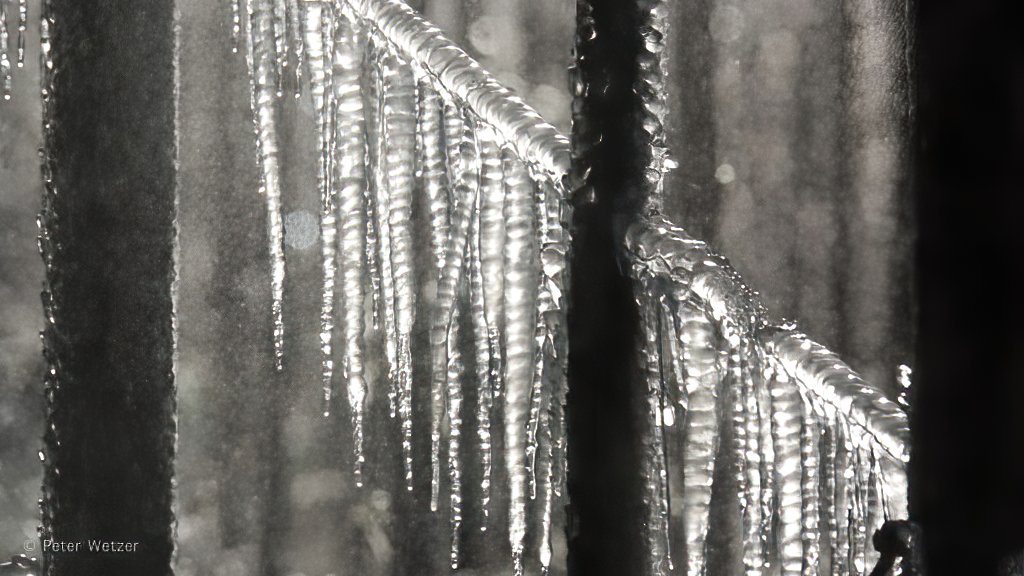 PeterWetzer's tweet photo. Vanmorgen vroeg uit de veren -> "Frozen" bij Appelgaard Jurrius Helmond. Meer foto's op https://t.co/aAgQsXLm7s
#Frozen #Appelgaard #Jurrius #Helmond #Goor #sonyRX10M4 https://t.co/204E4bWxiJ