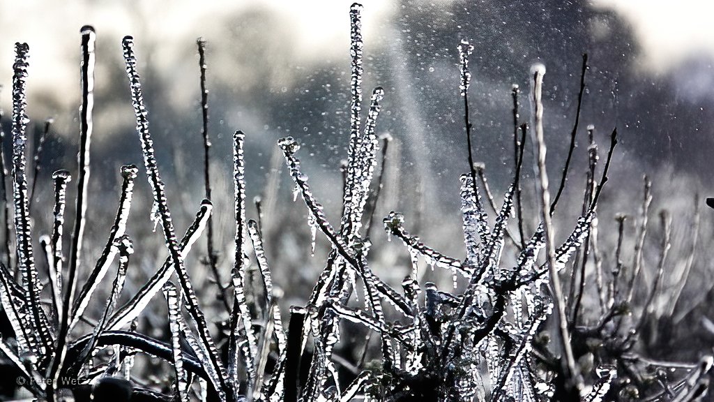PeterWetzer's tweet photo. Vanmorgen vroeg uit de veren -> "Frozen" bij Appelgaard Jurrius Helmond. Meer foto's op https://t.co/aAgQsXLm7s
#Frozen #Appelgaard #Jurrius #Helmond #Goor #sonyRX10M4 https://t.co/204E4bWxiJ