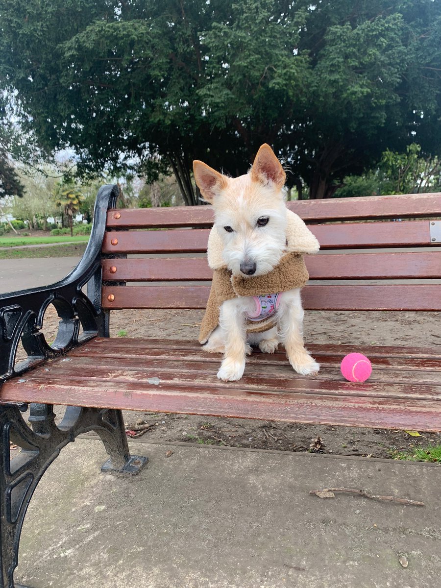 Scott Couldridge tweet media