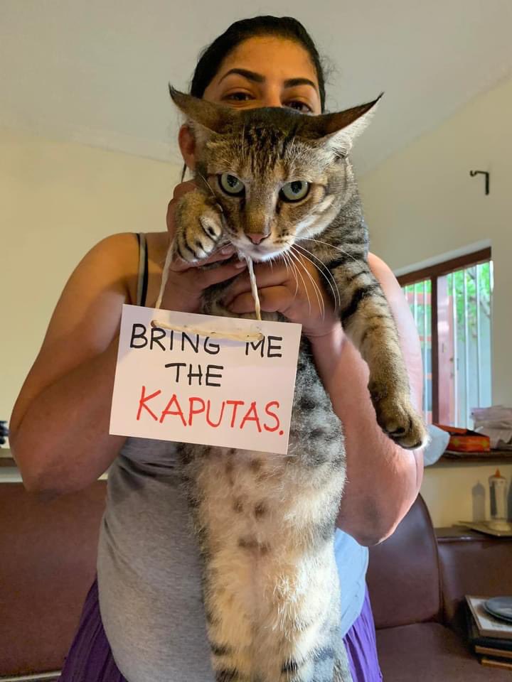 Roel Raymond tweet media