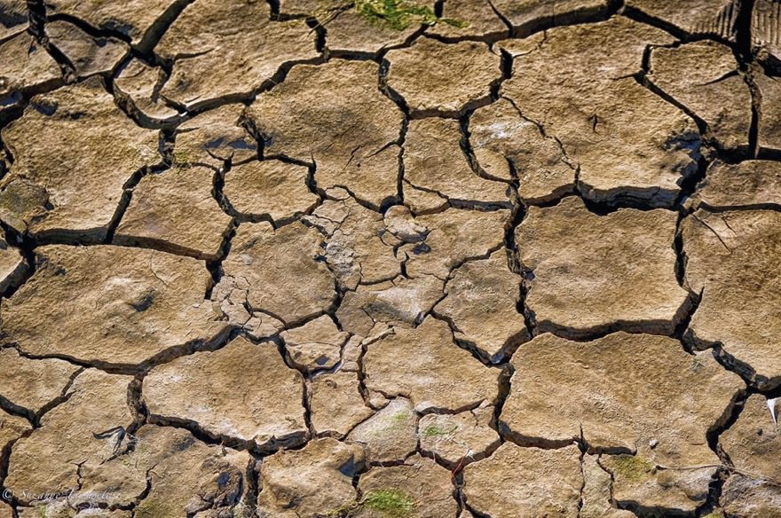 wassila's tweet photo. Mudcracks!
Nature’s art abstract.
#mudcracks #mudcracksofinstagram #nature’s #art #abstract #clay #mud #sediments #geology #hexagone #polygones #shapes https://t.co/KURu3ZS5IP