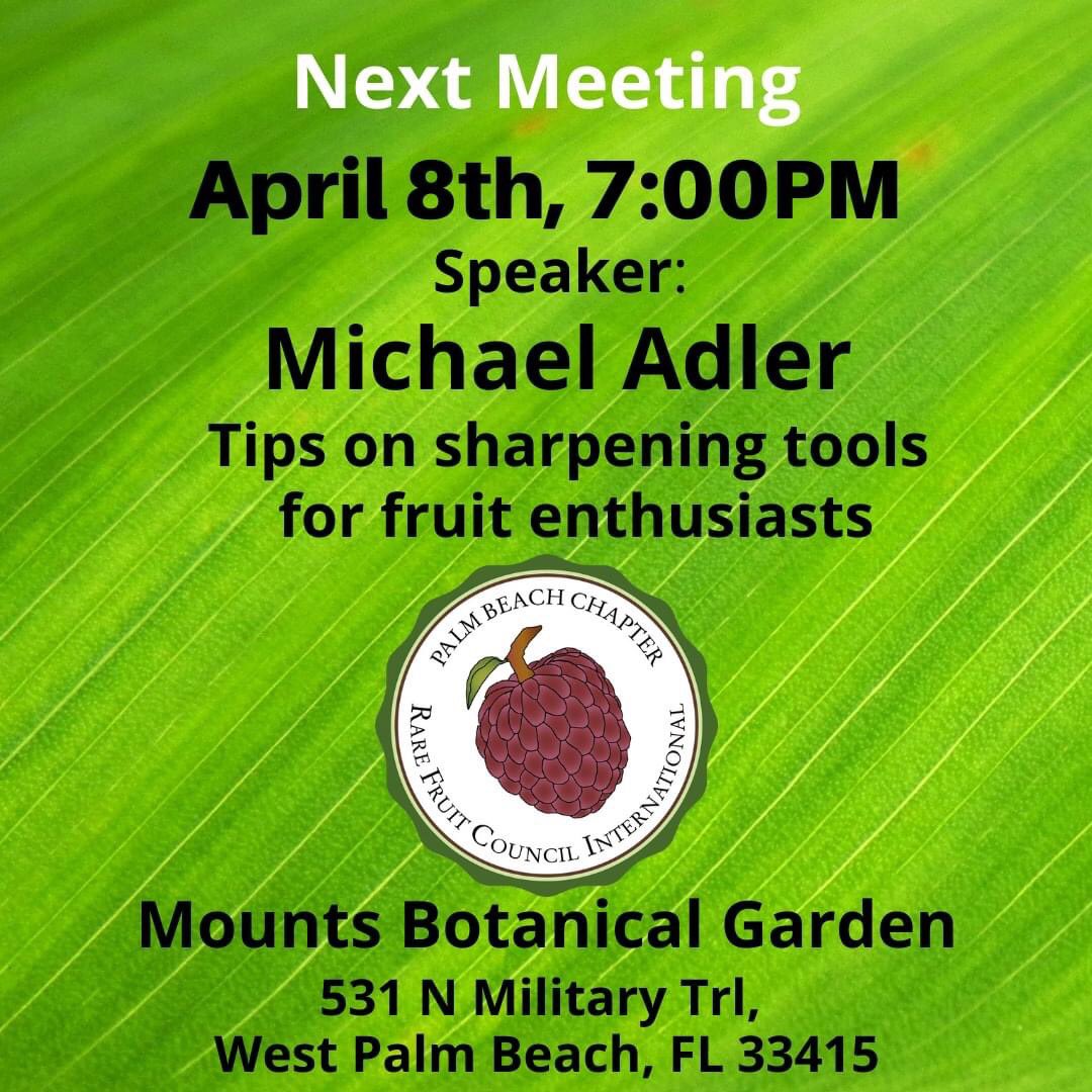 RareFruit_PB's tweet image. Next Meeting
April 8th, 7:00PM 

Speaker:
Michael Adler
Topic: Tips on sharpening tools for fruit enthusiasts

NOTE: We will start meeting @ 7pm

WE HOPE TO SEE AND CONNECT WITH YOU SOON, STAY SAFE!

#rarefruittrees #rarefruits #rarefruit #fruittrees #westpalmbeach #gardening