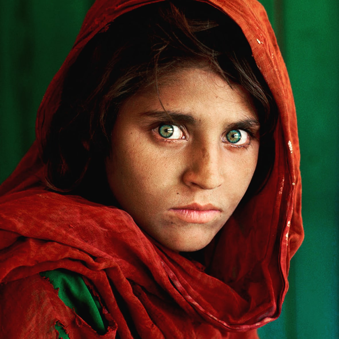 🇮🇹 Il ritratto di Sharbat Gula, meglio nota come “la ragazza afghana” fotografata da #SteveMcCurry. Uno scatto entrato di diritto sia nella storia della fotografia contemporanea sia nell’immaginario collettivo. 

#stevemccurryofficial #instagood #instatravel #beautiful #fashion