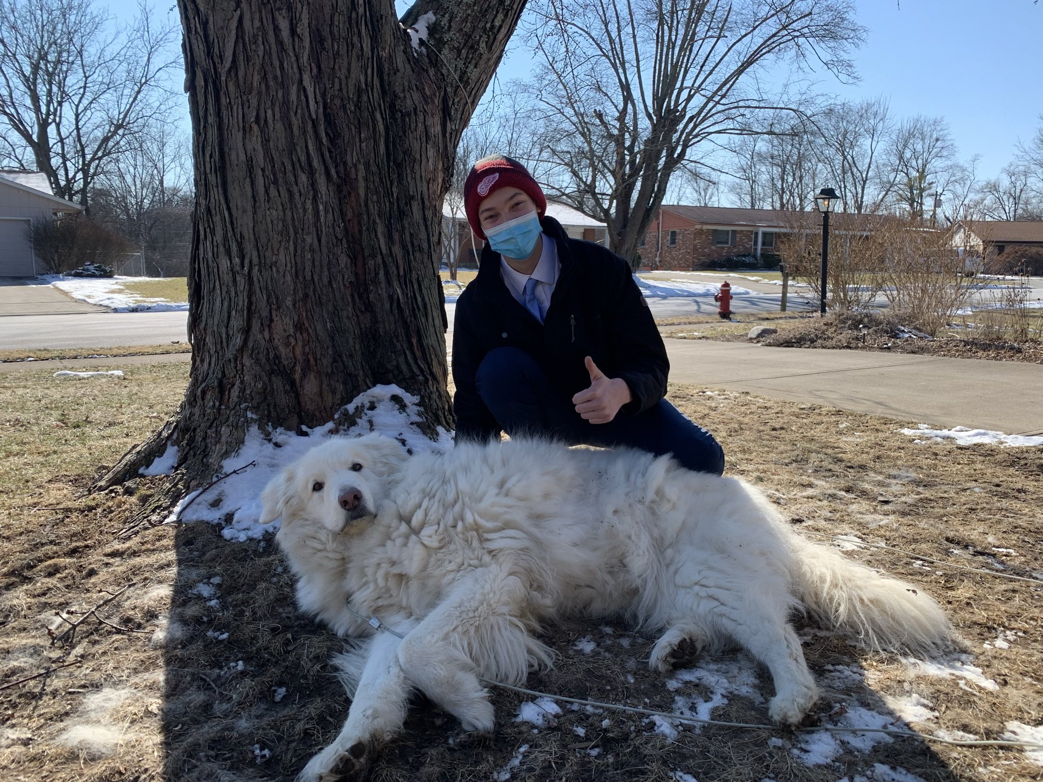 How Do You Register A Dog In Ohio