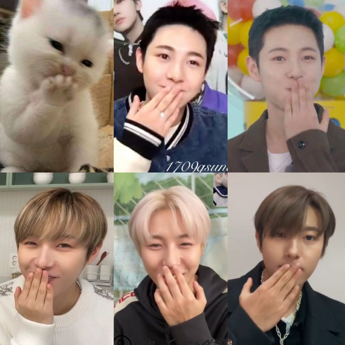 mfaljen's tweet photo. shy cat renjun 🐱 https://t.co/XtVUu1NHib
