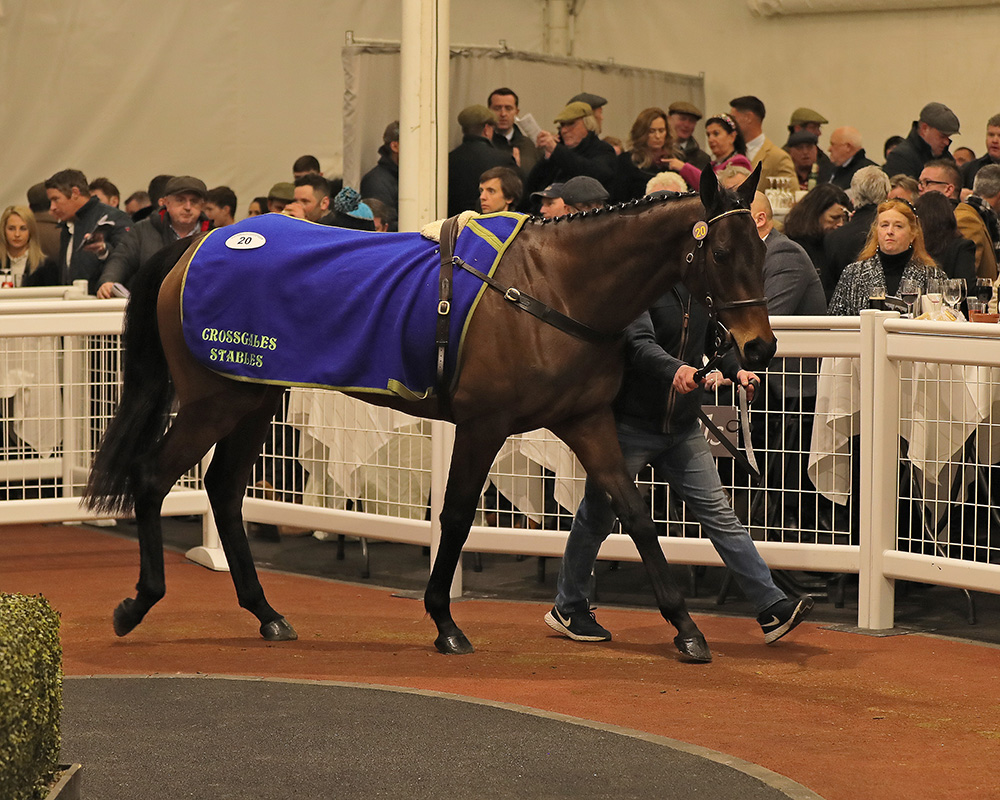 TattsCheltenham's tweet photo. 🏆 AUTUMN RETURN 🏆

Wins the @ayrracecourse bumper for @NRuthJefferson sold at #TattsCheltenham January Sale 2022 by @Crossgales_s to @bobbyoryan1 &amp; trainer for £55,000.

👏Congratulations to all connections

Next Sale
#CheltenhamApril Sale
#ContinuityCounts https://t.co/sqxZG2uKQT