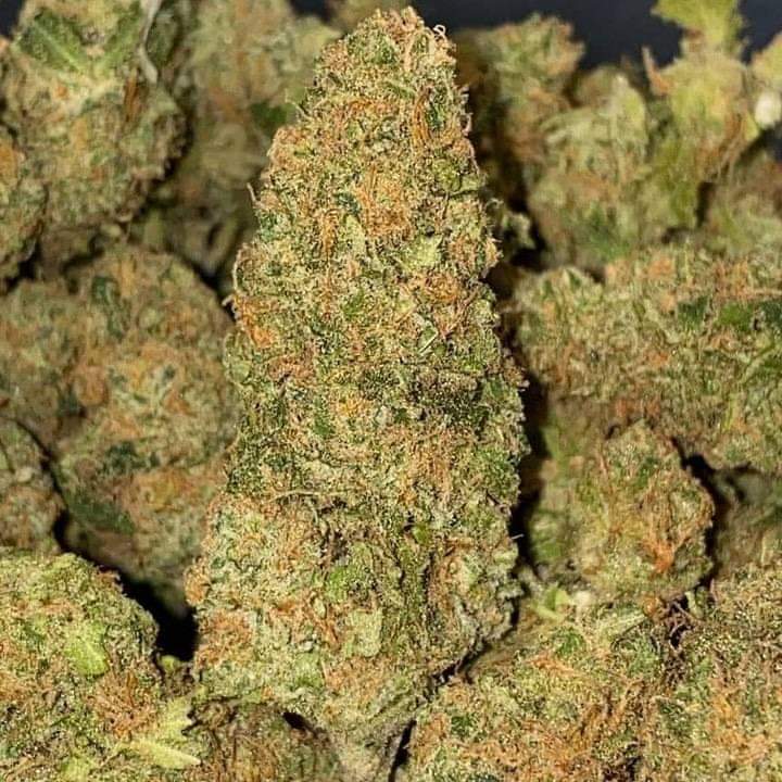 Osinski Laurinda (@laurindaosinski) on Twitter photo 